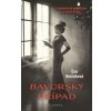 Bavorský případ - Bešťáková Eva