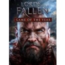 Lords Of The Fallen (Limited Edition)