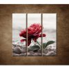 Červená ruža na kameňoch - 3dielny 90x90cm