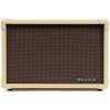 Blackstar ACOUSTIC:CORE 30 Kombo pre elektroakustické nástroje