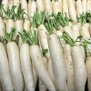 Reďkev Alabaster F1 - Raphanus sativus - semená - 100 ks