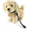 Rappa Plyšový pes zlatý retriever stojaci s vodítkom 25 cm ECO-FRIENDLY