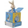 Rainbow Designs Limited Rainbow Králíček Petr v čarovnej škatuľke