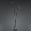 HELL Stojaca LED lampa Tom, 2-plameňová, čierna - 60411/2-06