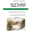 Maloměstská idyla Z krajského města - Josef Karel Šlejhar