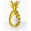 Piñaq Gold 17% 1 l (čistá fľaša)