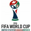 Lopta FIFA futbalová Amerika 23cm nenafúknutá W058221