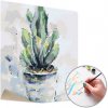 Maľovanie podľa čísel SUKULENT – nízka náročnosť 50x50 cm - bez rámu (Sada na maľovanie podľa čísel ARTMIE)