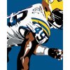 Diamondi Diamantové maľovanie - AMERICKÝ FUTBAL Rámovanie: bez rámu a bez vypnutia plátna, Rozmer: 40x50 cm