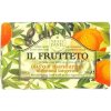 NESTI DANTE MYDLO FRUIT 05 250G