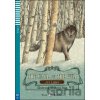 The Call of the Wild - Jack London, Silvana Sardi, Marco Somà (ilustrácie)