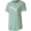 Puma Evostripe Tee 58124132 zelená