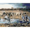 Zuty – Maľovanie Podľa Čísel – Zvieratá Pri Napájadle - Ilúzia Leva (D. Rusty Rust), 80 × 100 cm, Plátno + Rám 8596530172116