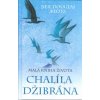 DouglasKlotz Neil: Malá kniha života Chalíla Džibrána (více než stovka bajek, aforismů, podobenství, příběhů a básní, v nichž zní Džibránův vizionářský hlas plný útěchy, lásky a tolerance ( 183 str. V