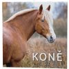 Baloušek Tisk nástenný poznámkový Kone 28,5 × 28,5 cm 2026