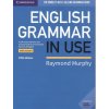 English Grammar in Use 5th edition