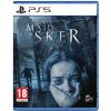 Maid of Sker | PS5