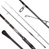 Giants Fishing Prút Deluxe BX Carp 9ft 3.00lb 2pc
