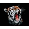 Diamantové maľovanie Diamondi - Diamantové maľovanie - TIGER S OTVORENOU TLAMOU, 40x50 cm, Vypnuté plátno na rám (602394B)