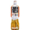 Extrifit Carnifresh Sparkling with Caffein 850ml - ananas
