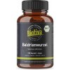 Biotiva Bio Valeriána lekárska 150 kapsúl