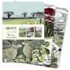 Angela Harding Set of 3 Midi Notebooks - Landscapes