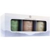 CHESAPEAKE BAY CANDLE Balance & Harmony+Peace & Tranquility+Joy & Laughter 3x96g
