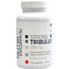 NutriWorks Tribulus Terrestris 750 120 kapsúl
