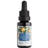 Nobilis Tilia Grapefruitové jadierko 20 ml