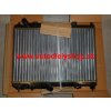 Ford FIESTA 11/2008- chladič vody 1,25i-1,4i-1,6i