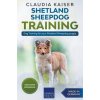 Shetland Sheepdog Training - Dog Training for your Shetland Sheepdog puppy