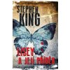 Lisey a její příběh - Stephen King