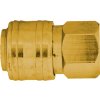 DEDRA A535301, 10 bar, 1 kusov