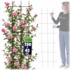 Kovová pergola Kadax, mreža, 150 cm