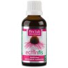 Finclub Echinfis 50 ml – Extrakt z echinacei sa postará o vašu imunitu