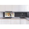DIMEX | Dibond doska za kuchynskú linku | DBW-08040-110 Portét psov| 80 x 40 cm + Dibond obkladová doska Dimex do kuchyne Portét psovv rozmere 80 x 40 cm + lepidlo zadarmo