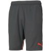 Puma individualCUP
