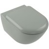 VILLEROY & BOCH Antao závesné WC s TwistFlush, s hlbokým splachovaním bez vnútorného okraja, 370 x 560 mm, Morning Green, s povrchom CeramicPlus, 4674T0R8
