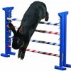 Agility Kombisprung 53 cm
