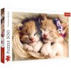 Mačiatka spiacie na kožúšku puzzle s 500 dielikmi