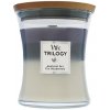 WoodWick Trilogy Amethyst Sky vonná sviečka s dreveným knôtom 275 g