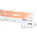 Dermazulen ung.der.1 x 30 g