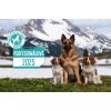 DOGPOINT Charitatívny kalendár 2025 - stolný
