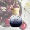 SMELL OF LIFE vôňa do auta BLACK CHERRY 10 ml