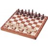 Magnetické šachy Oracle stredné