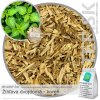 BYLINNÝ ČAJ Žihľava dvojdomá - koreň (45g)