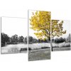 Obraz žltého stromu v prírode (Obraz 90x60cm)