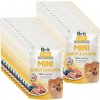 Brit Care Mini Rabbit & Salmon fillets in gravy 24x85g