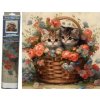 Norimpex Diamantové maľovanie Mačiatka v košíku 30 x 40 cm