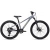 Bicykel CTM Zephyr JR Xpert Matná Strieborná 2026 24